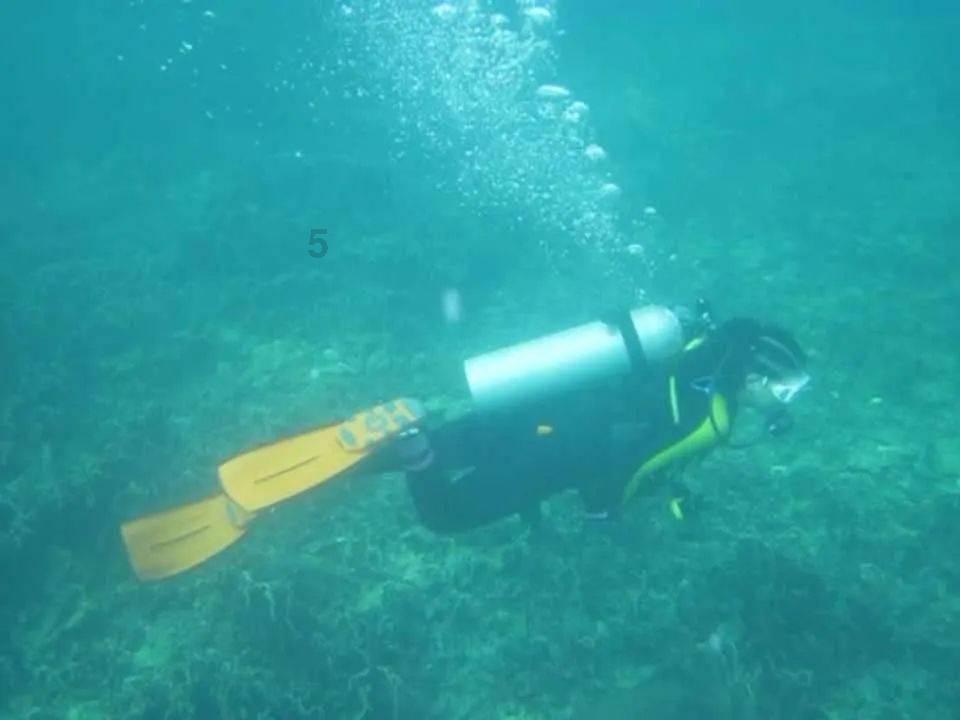 湖南暴雪已致1万多人受灾,哪些保险能抵抗寒潮