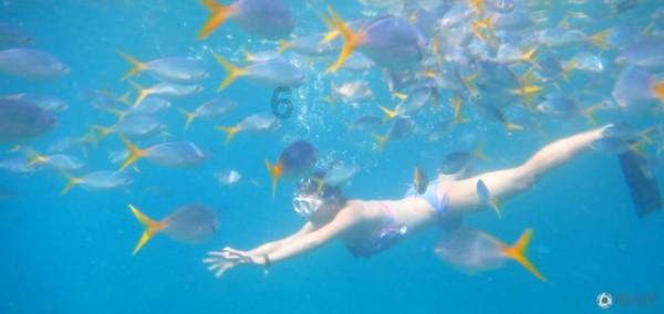 加拿大湖发现神秘“水怪”，游动时出现奇怪波浪，它究竟是什么？